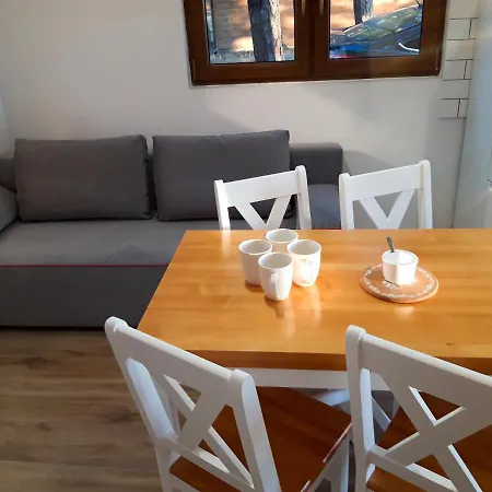 Holiday home Letniskowy Nad Jeziorem Wdzydze Borsk